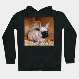 Pug Bunni Hoodie